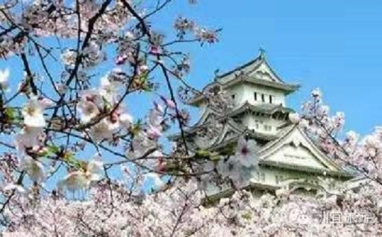 2022年10月最新日本旅游、商务签证加急办理政策更新